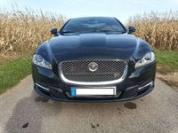 Gebraucht Jaguar XJ 300 PS (220 kW) 2011 Schwarz Limousine