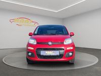 Gebraucht Fiat Panda Easy 142 PS (104 kW) 2015 Rot Kleinwagen