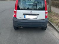 Gebraucht Fiat Panda 54 PS (39 kW) 2009 Weiß Kleinwagen
