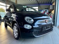 gebraucht Fiat 500 Tageszulassung +ab € 149 mtl.+