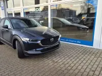 Neu Mazda CX-30 Homura-Line 140 PS (102 kW) 2025 Blau SUV