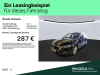 Gebraucht Skoda Octavia Style 150 PS (110 kW) 2024 Blackmagic perleffekt Kombi