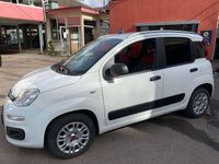 Gebraucht Fiat Panda 69 PS (50 kW) 2020 Weiß Kleinwagen