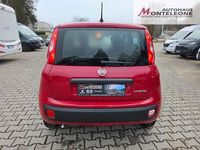 Neu Fiat Panda Icon 69 PS (50 kW) 2025 Rot Limousine
