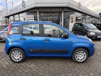 Neu Fiat Panda 69 PS (50 kW) 2025 Italia blau Kleinwagen