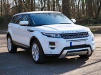 Gebraucht Land Rover Range Rover evoque 150 PS (110 kW) 2012 Weiß SUV