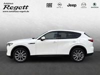 Gebraucht Mazda CX-60 Exclusive-Line 200 PS (147 kW) 2023 Weiss SUV
