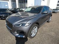 Gebraucht Jaguar F-Pace R-Dynamic 300 PS (220 kW) 2022 Grau SUV