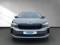 Neu Skoda Kodiaq Selection 150 PS (110 kW) 2026 Grau SUV