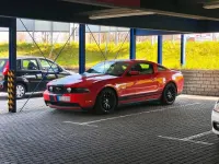 Gebraucht Ford Mustang 421 PS (309 kW) 2011 Rot Coupé