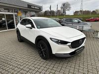 Gebraucht Mazda CX-30 Selection 150 PS (110 kW) 2021 Snowflake white pearl SUV