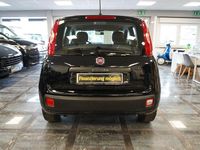 Gebraucht Fiat Panda Easy 69 PS (50 kW) 2020 Schwarz Kleinwagen