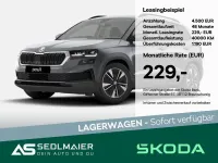 Neu Skoda Karoq 150 PS (110 kW) 2025 Graphitegrau SUV