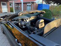 Gebraucht Ford Mustang GT 449 PS (330 kW) 2022 Schwarz Cabrio