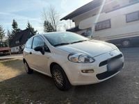 Gebraucht Fiat Punto 75 PS (55 kW) 2013 Weiß Kleinwagen