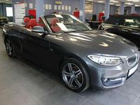 Gebraucht BMW 218 Sport Line 136 PS (100 kW) 2016 Grau Cabrio