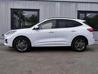 Gebraucht Ford Kuga ST-Line 224 PS (164 kW) 2023 Weiß SUV