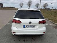 Gebraucht VW Golf VII Join 116 PS (85 kW) 2018 Weiß Kombi