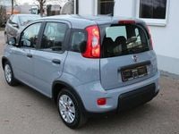 Gebraucht Fiat Panda 69 PS (50 kW) 2023 Grau Kleinwagen
