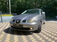 Gebraucht Seat Ibiza 75 PS (55 kW) 2004 Grau Kleinwagen
