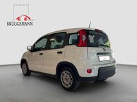 Gebraucht Fiat Panda 69 PS (50 kW) 2023 Weiß Kleinwagen