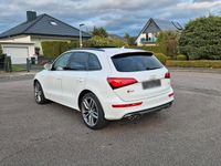 Gebraucht Audi SQ5 Competition 326 PS (239 kW) 2016 Weiß SUV