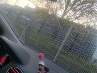 Usata Ford Focus 116 CV (85 kW) 2009 Nero Utilitaria