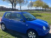 Gebraucht VW Lupo 60 PS (44 kW) 2002 Blau Kleinwagen