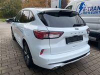 Gebraucht Ford Kuga ST-Line X 224 PS (164 kW) 2021 Weiß SUV