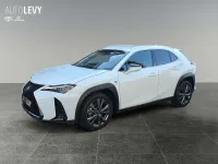 Gebraucht Lexus UX 300h Sport Design Packet 199 PS (146 kW) 2024 Weiß SUV