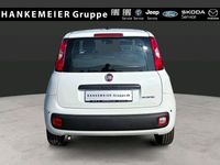 Neu Fiat Panda Icon 65 PS (47 kW) 2026 Weiß Kleinwagen