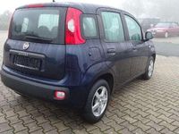 Gebraucht Fiat Panda Lounge 69 PS (50 kW) 2019 Mediterraneo blau metallic Kleinwagen