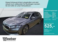 Gebraucht Skoda Superb Selection 265 PS (194 kW) 2025 Graphitegrau (metallic) Kombi