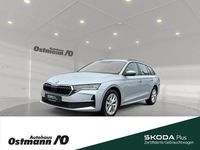 Gebraucht Skoda Octavia Selection 150 PS (110 kW) 2024 Brilliantsilber metallic Kombi