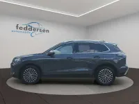 Gebraucht VW Tiguan Elegance 150 PS (110 kW) 2024 Grau SUV