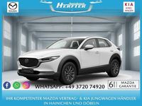 Neu Mazda CX-30 140 PS (102 kW) 2026 Weiß SUV