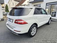 Gebraucht Mercedes ML250 204 PS (150 kW) 2014 Weiß SUV