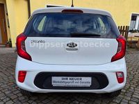 Gebraucht Kia Picanto Edition 7 84 PS (61 kW) 2019 Weiß Kleinwagen