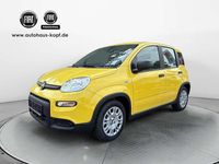 Gebraucht Fiat Panda 69 PS (50 kW) 2024 Pandina gelb Kleinwagen
