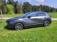 Gebraucht Mazda CX-30 Selection 179 PS (131 kW) 2019 Grau SUV