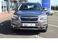 gebraucht Subaru Forester Exclusive Edition