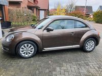 Gebraucht VW Beetle 140 PS (102 kW) 2014 Braun Kleinwagen