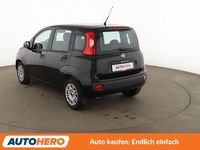 Gebraucht Fiat Panda Easy 69 PS (50 kW) 2019 Schwarz Kleinwagen