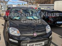 Neu Fiat Panda 71 PS (52 kW) 2025 Schwarz Limousine