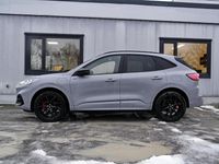 Gebraucht Ford Kuga ST-Line 224 PS (164 kW) 2023 Grau SUV