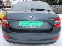 Gebraucht Skoda Octavia Ambition 140 PS (102 kW) 2014 Metalgrau metallic Kleinwagen