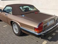 Gebraucht Jaguar XJS 273 PS (200 kW) 1989 Braun Cabrio