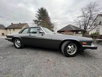 gebraucht Jaguar XJS Targa, H-Zul., Klassiker, nur 1800 Stück