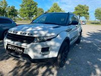gebraucht Land Rover Range Rover evoque Pure Technik Aut. PANO~KAMERA