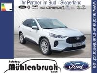 Gebraucht Ford Kuga Titanium 150 PS (110 kW) 2024 Frozen white SUV
